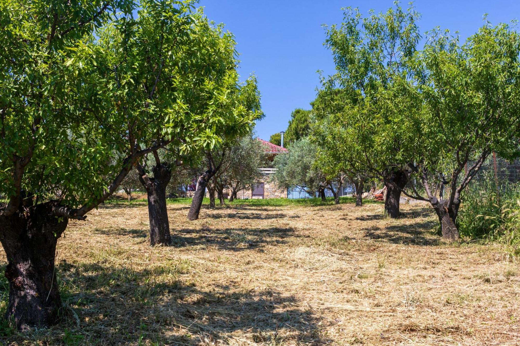 Villa Managraia Makrygialos Exterior foto